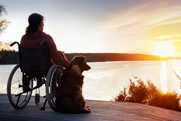 woman in wheelchair with dog